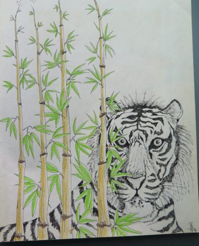 Tiger behind the bamboo